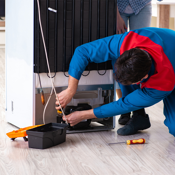 what are the common refrigerator repair services in Paluxy TX